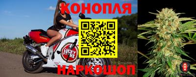 ПСИЛОЦИБИНОВЫЕ ГРИБЫ Кандалакша