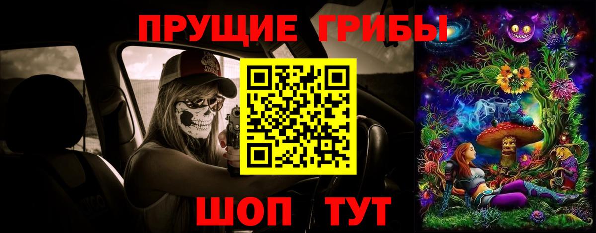 Псилоцибиновые грибы мицелий Кропоткин